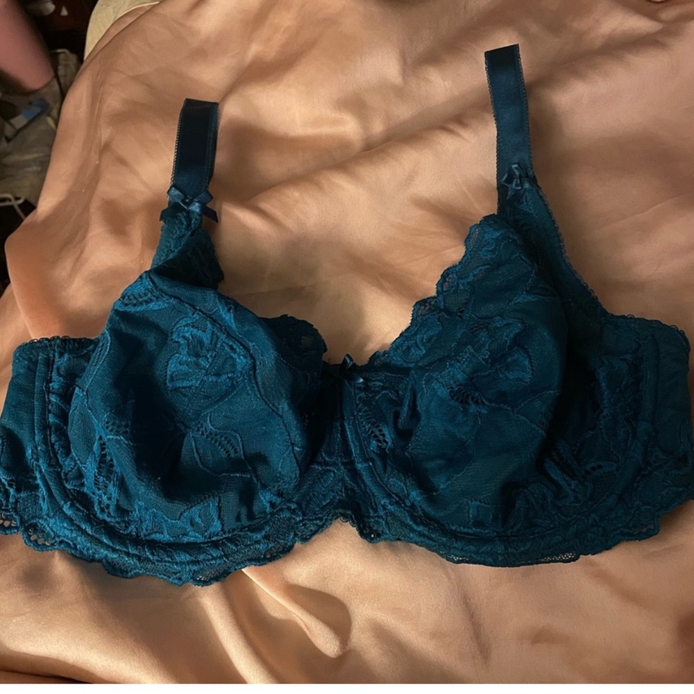 Just Peachy brand Sheer Lace Full-Coverage Bra in Teal 34 FF